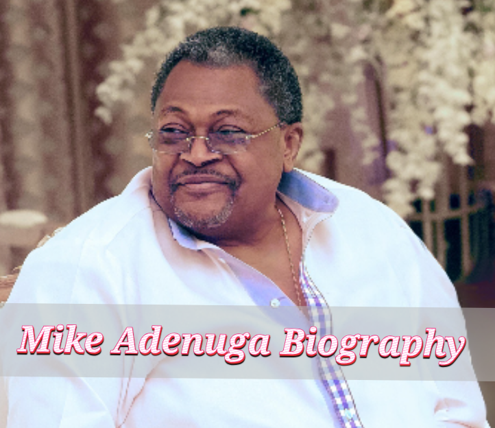 Mike Adenuga Biography