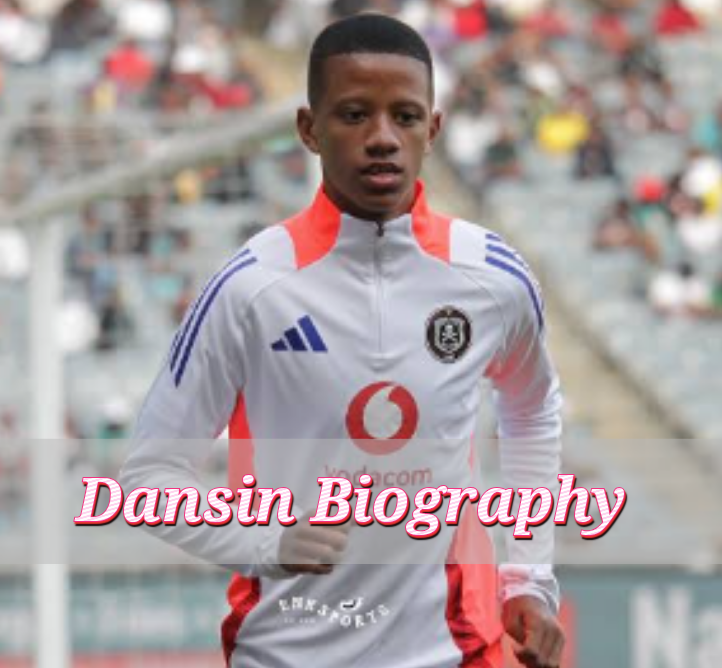 Dansin Biography
